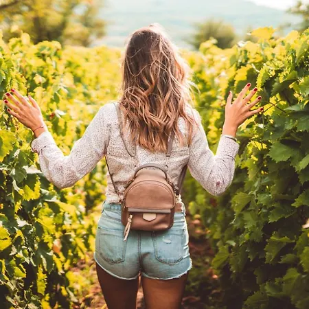 Casa de Férias Scheer *