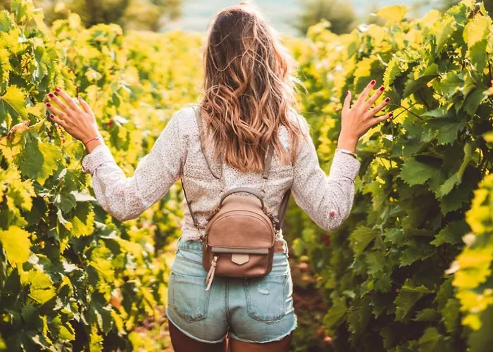 Dom wakacyjny Scheer *