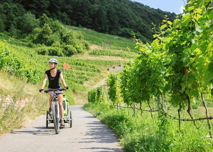 Dom wakacyjny Scheer Retz